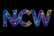 The Neuro-Cosmic Web - Home